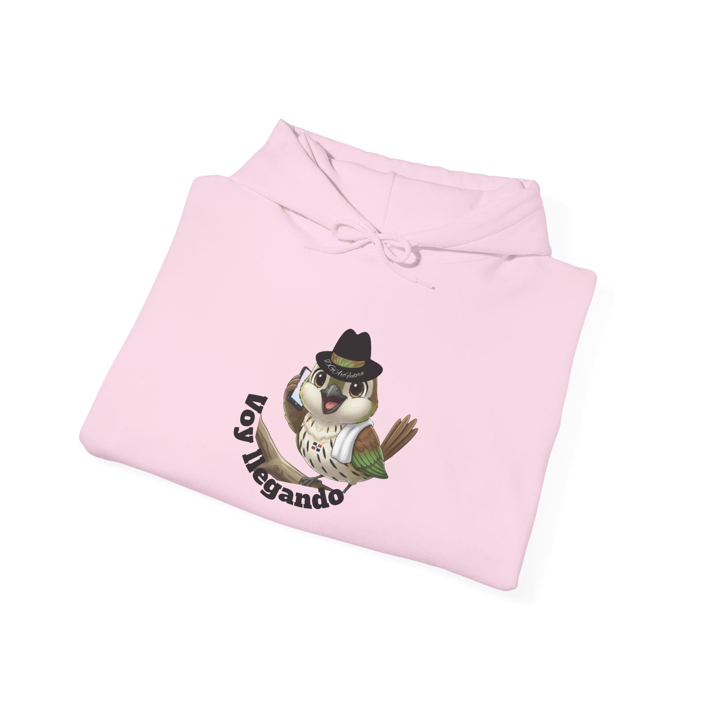 Unisex Heavy Blend  Hooded Sweatshirt with Cigüita "Voy llegando"