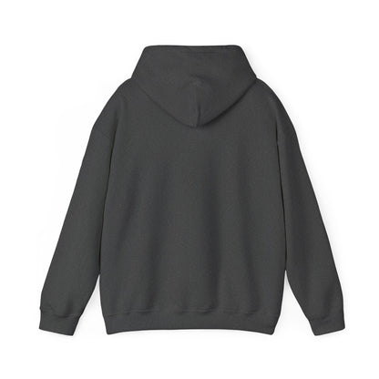 Unisex Heavy Blend Hooded Sweatshirt Cigüita